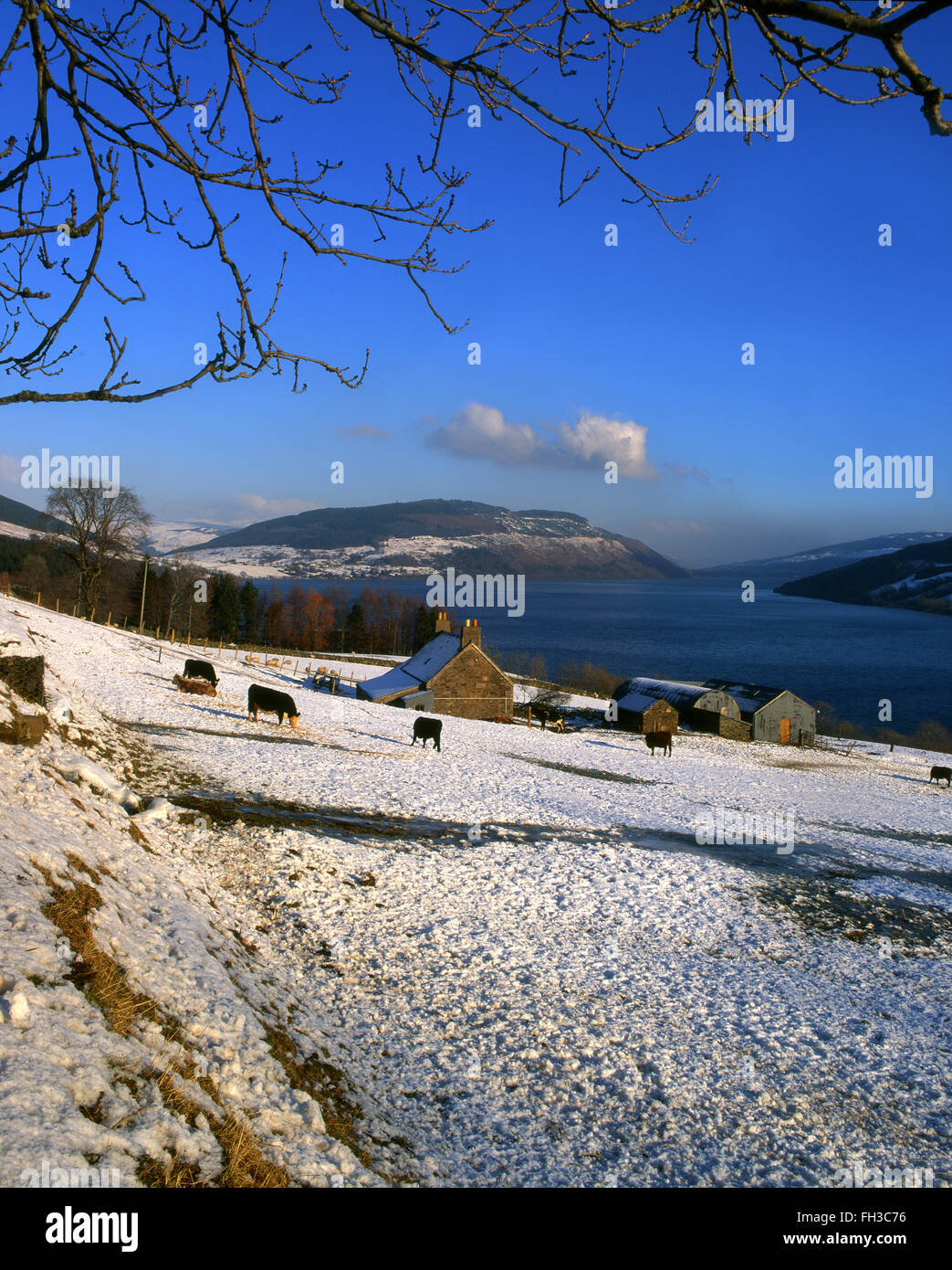 Scena invernale sul Loch Tay, Perthshire Foto Stock