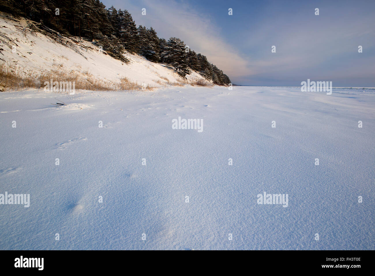 Il lago Peipus in inverno Foto Stock