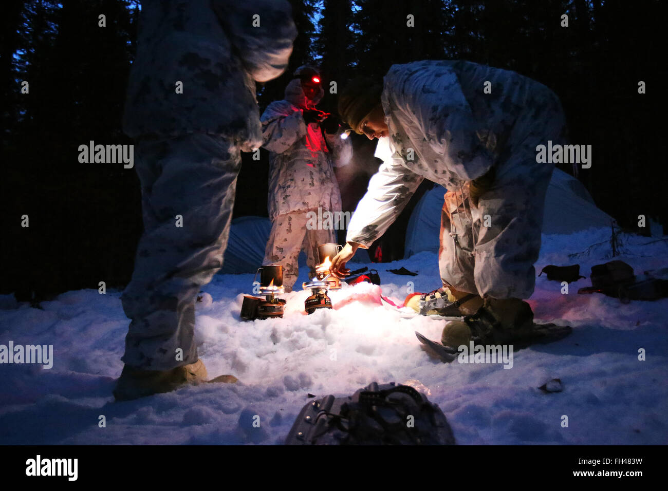 Un gruppo di Stati Uniti Marines assegnati ai bracci combinato società fuori della Bulgaria utilizza piccoli bruciatori a fondere la neve in acqua come unità imposta il campo per la notte. Questa società unica è composta di più veicoli con più funzionalità tra cui assalto anfibio veicoli, M1A1 Abrams principali di carri armati e luce veicoli blindati. Nelle settimane che precedono l esercizio di risposta a freddo 16, alla fine del mese, le due nazioni sono state conducendo corsi di formazione bilaterali per migliorare la U.S. Marine Corps capacità di operare a basse temperature ambienti. L'esercizio presenterà marittime, terrestri, un Foto Stock