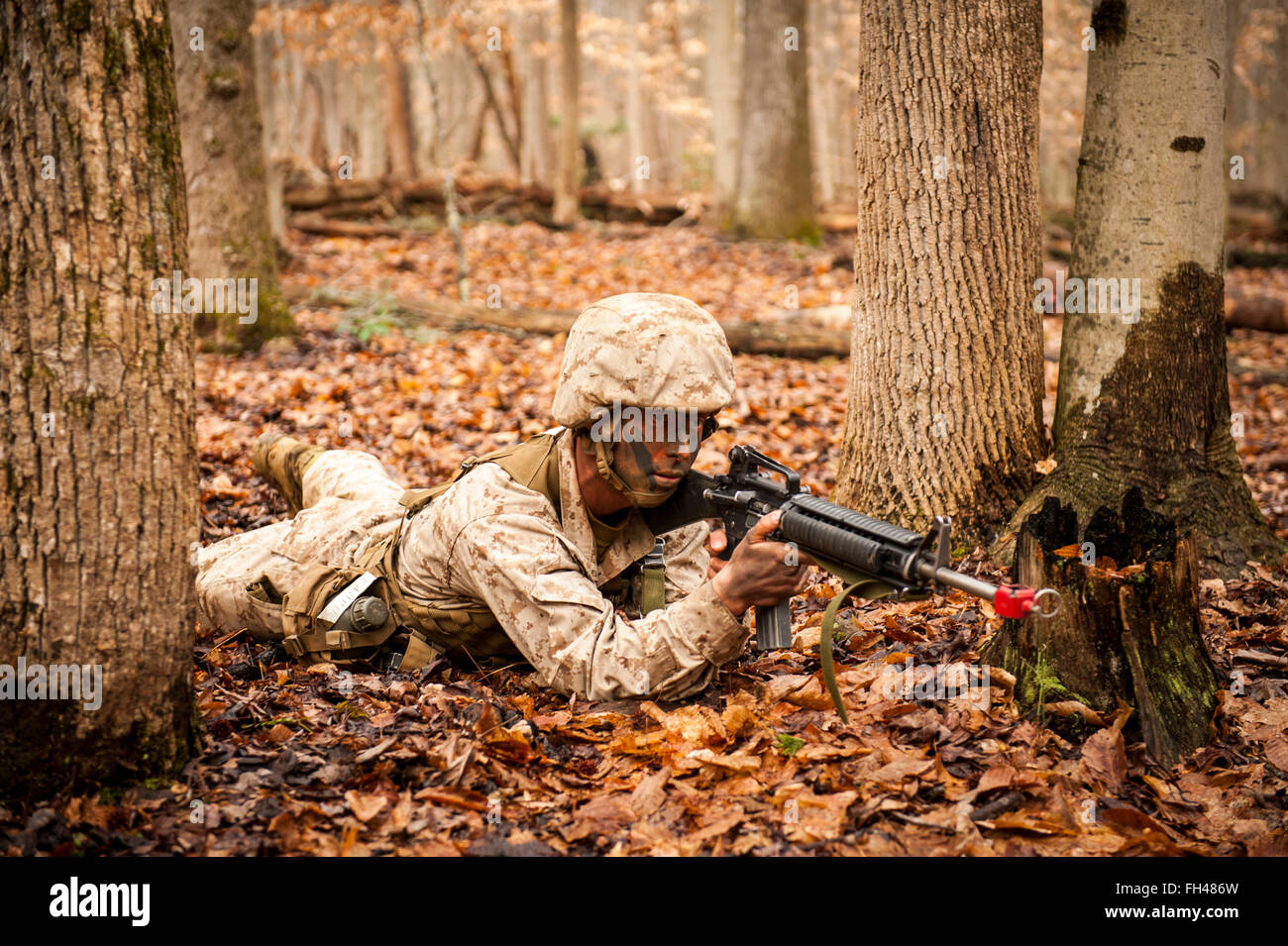 I candidati assegnati alla società Delta, Officer candidati classe-221, vengono valutati come membri di un team di incendio durante la piccola unità di valutazione di Leadership 1 al campo marrone, Marine Corps base Quantico, Virginia, il 22 febbraio, 2016. La missione di Delegato candidati scuola (OCS) è "educare e formare i candidati officer in Marine Corps conoscenze e competenze all'interno di una controllata, stimolante e ambiente caotico al fine di valutare e schermo individui per la leadership, morale, mentale e qualità fisiche necessarie per la messa in funzione di un Marine Corps officer". Foto Stock