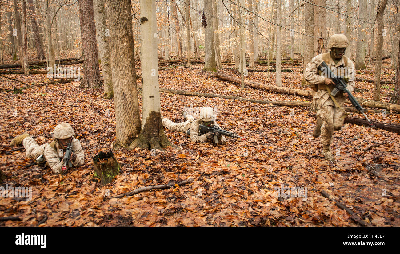 I candidati assegnati alla società Delta, Officer candidati classe-221, vengono valutati come membri di un team di incendio durante la piccola unità di valutazione di Leadership 1 al campo marrone, Marine Corps base Quantico, Virginia, il 22 febbraio, 2016. La missione di Delegato candidati scuola (OCS) è "educare e formare i candidati officer in Marine Corps conoscenze e competenze all'interno di una controllata, stimolante e ambiente caotico al fine di valutare e schermo individui per la leadership, morale, mentale e qualità fisiche necessarie per la messa in funzione di un Marine Corps officer". Foto Stock