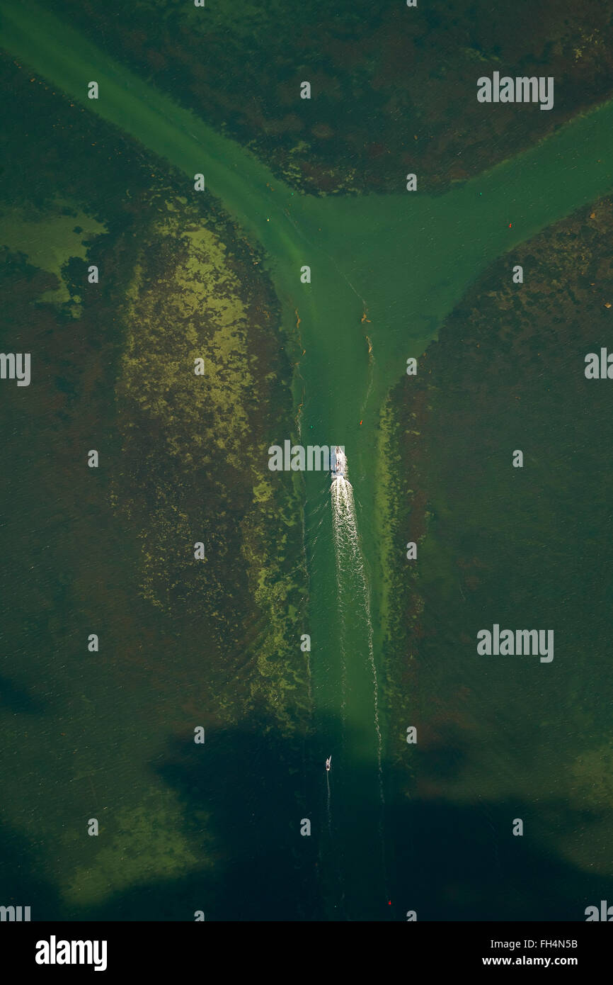 Vista aerea, fairway ramo Schaprode Hiddensee in traghetto, Hiddensee, Mar Baltico isola, Meclenburgo-Pomerania Occidentale, Germania, Europa Foto Stock