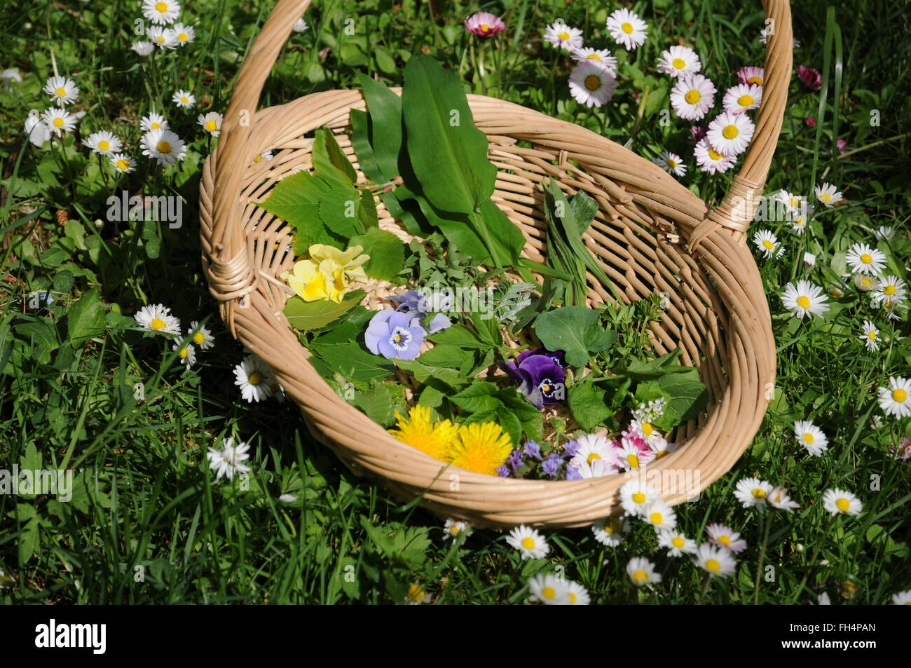 Insalata di foglie, erbe e fiori Foto Stock