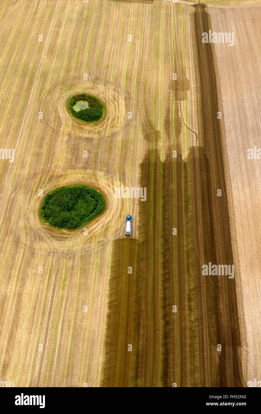 Vista aerea, raccolte campo con boschi e prati isola esecutore porta del Letame, impasto esecutore testamentario, Emissioni Kramerhof, Foto Stock