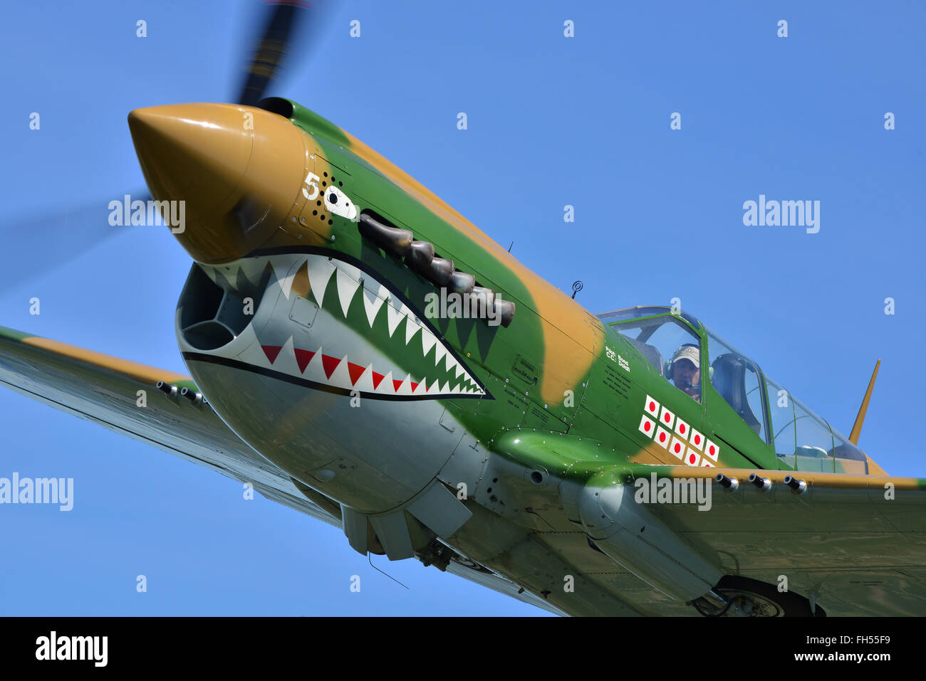 Curtiss p 40 warhawk immagini e fotografie stock ad alta risoluzione ...