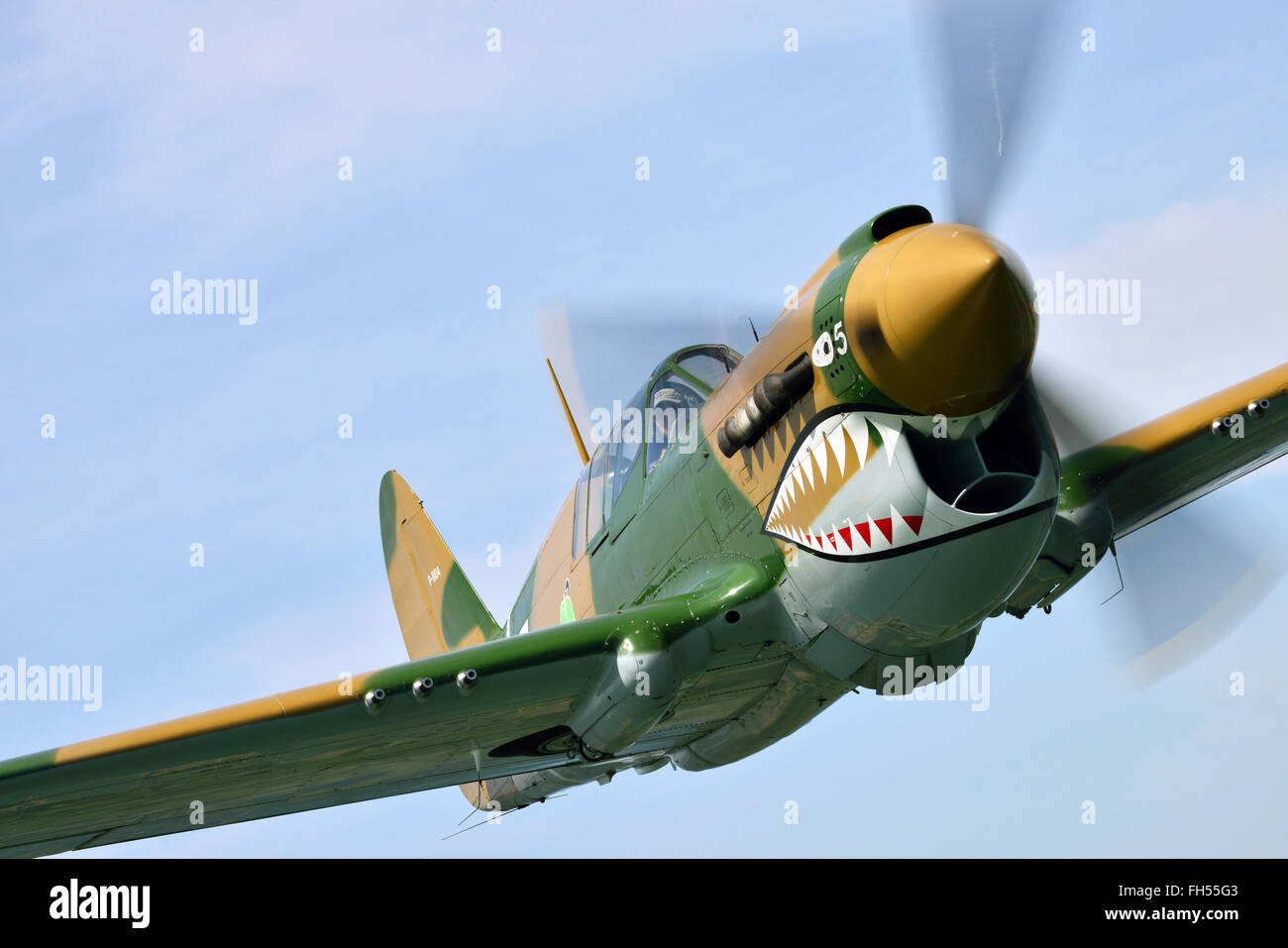 WWII Curtiss P-40 combattente di Warhawk Foto Stock