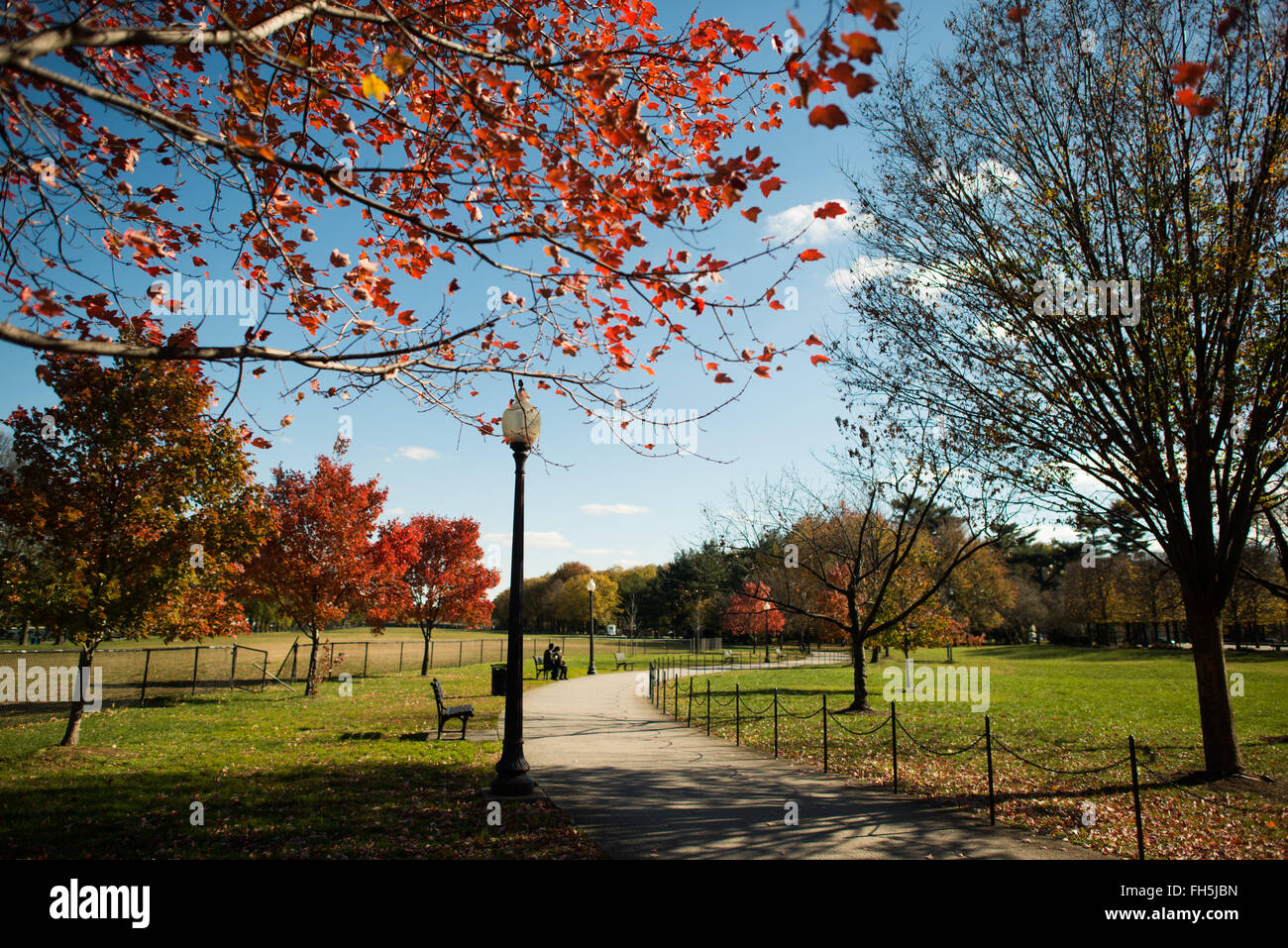 Alberi autunnali foglie rosse National Mall Washington DC // foglie rosse sugli alberi autunnali sul National Mall di Washington DC. Foto Stock
