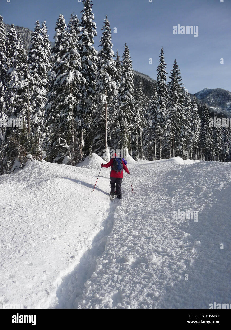 Con le racchette da neve escursionisti rompendo il sentiero attraverso la neve fresca in una giornata di sole Foto Stock
