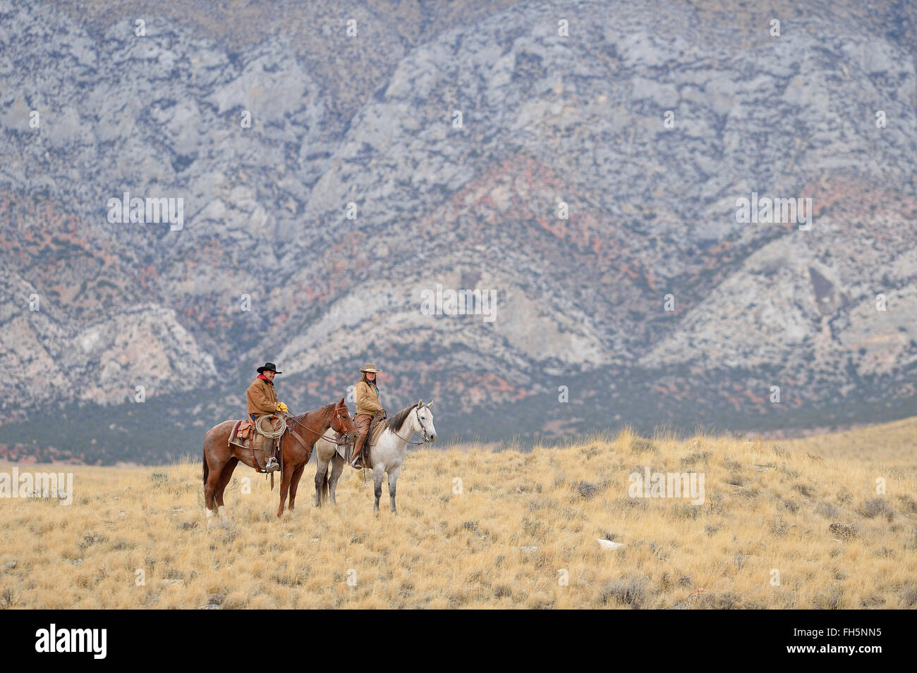 Cowboy e Cowgirl a cavallo nel deserto e montagne rocciose, Wyoming USA Foto Stock