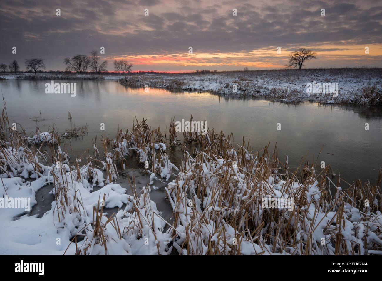 Il crepuscolo si assesta su una zona umida protetta alla fine di una giornata invernale. Foto Stock