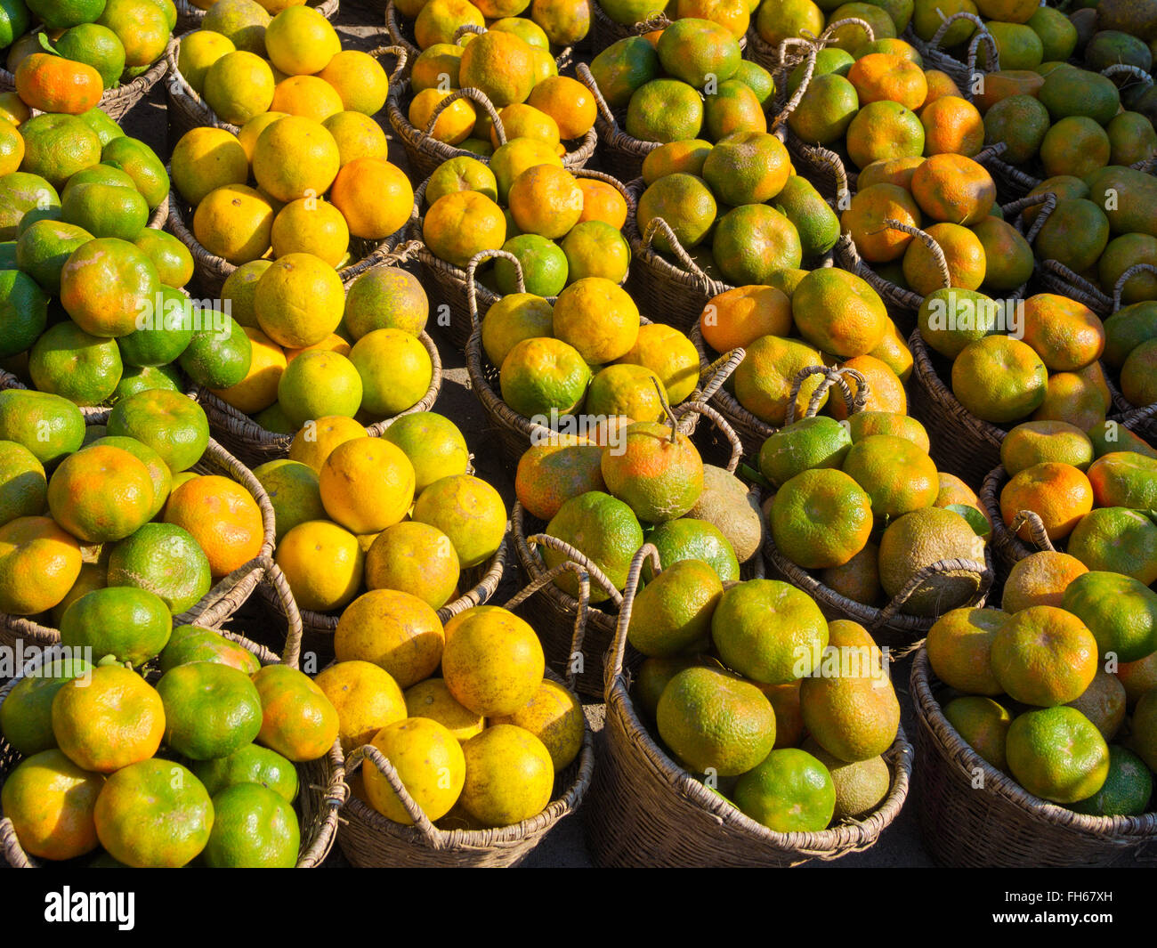 In arancione per vendere in cestini Foto Stock