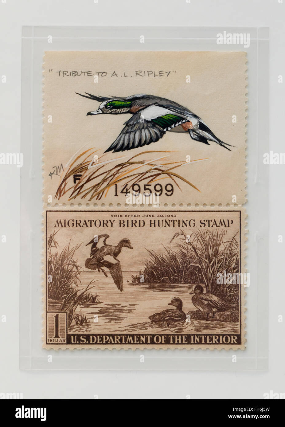 Vintage di uccelli migratori timbro di caccia $1 Baldtapes timbro, circa 1942 - USA Foto Stock
