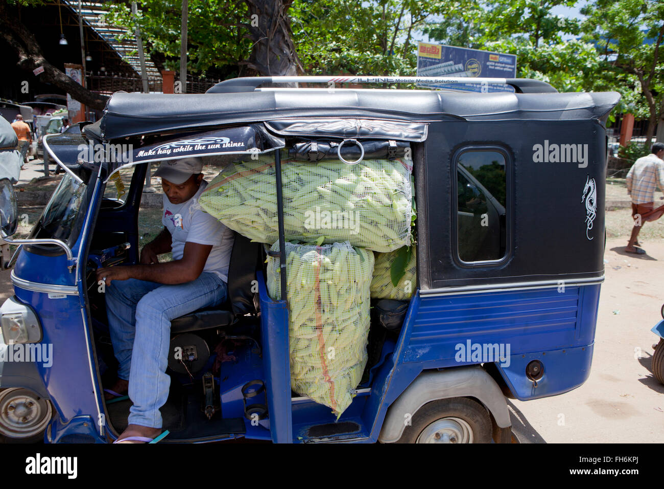 Scene di Sri Lanka Foto Stock
