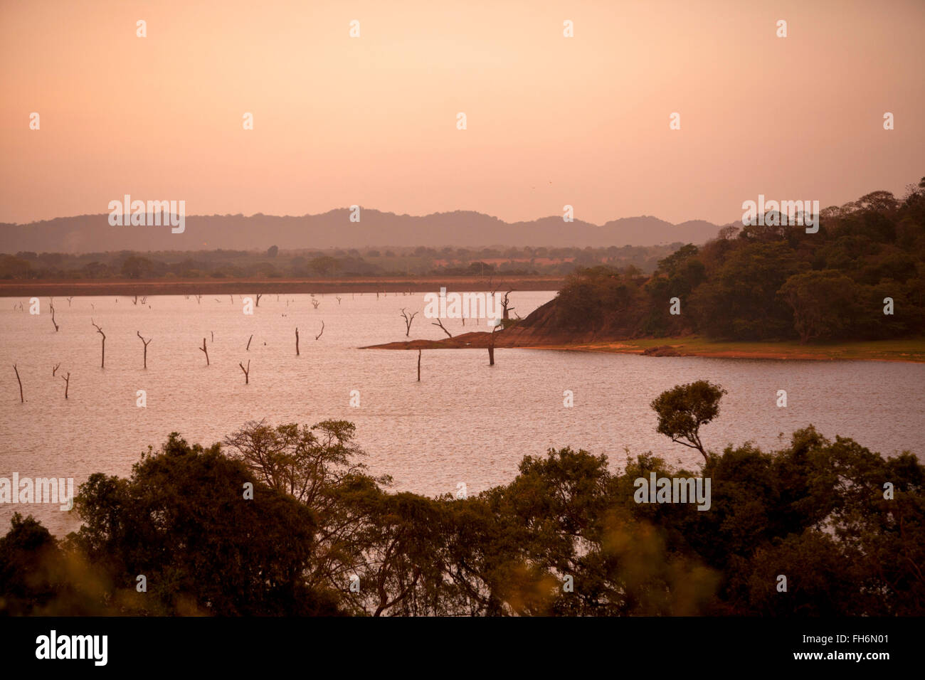 Scene di Sri Lanka Foto Stock
