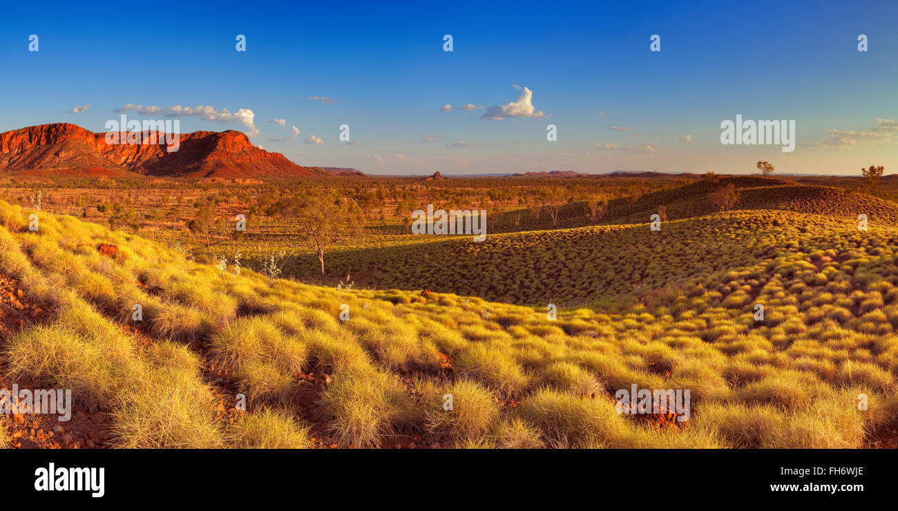 Bellissimo paesaggio australiano alla luce di un sole di setting. Fotografato dal Kungkalahayi lookout in Nazionale di Purmululu P Foto Stock