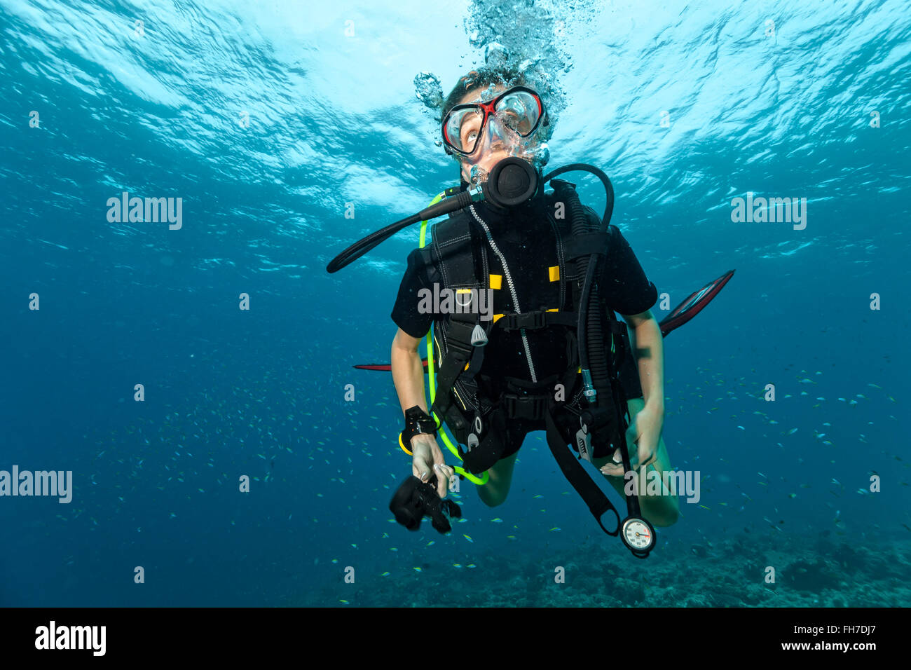 Femmina sub in immersione subacquea Foto Stock