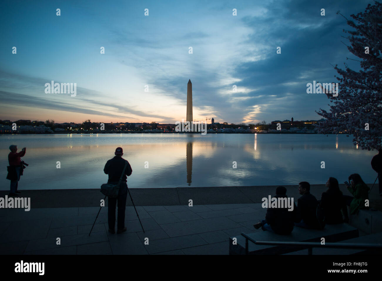 Fiori di ciliegio con il Washington Monument a Washington DC | WASHINGTON DC — Visitatori e fotografi si radunano lungo il Tidal Basin prima dell'alba per ammirare i fiori di ciliegio con il Washington Monument in lontananza. Il picco annuale della fioritura degli alberi, originariamente un dono dal Giappone nel 1912, attira grandi folle sul lungomare. Foto Stock