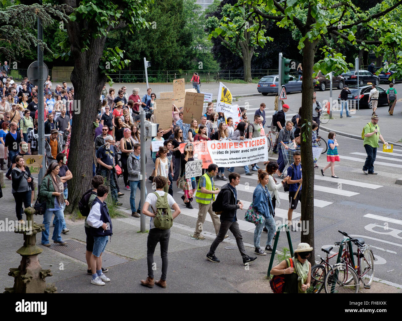 Maggio 2015, marcia di protesta contro la coltivazione di OGM, Strasburgo, Alsazia, Francia Europa Foto Stock