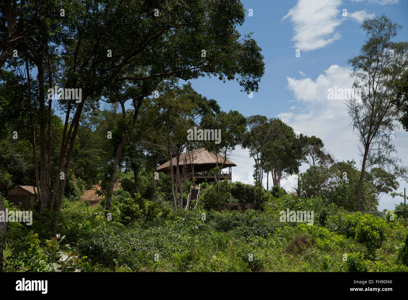 Jungle Resort, Cambogia Foto Stock