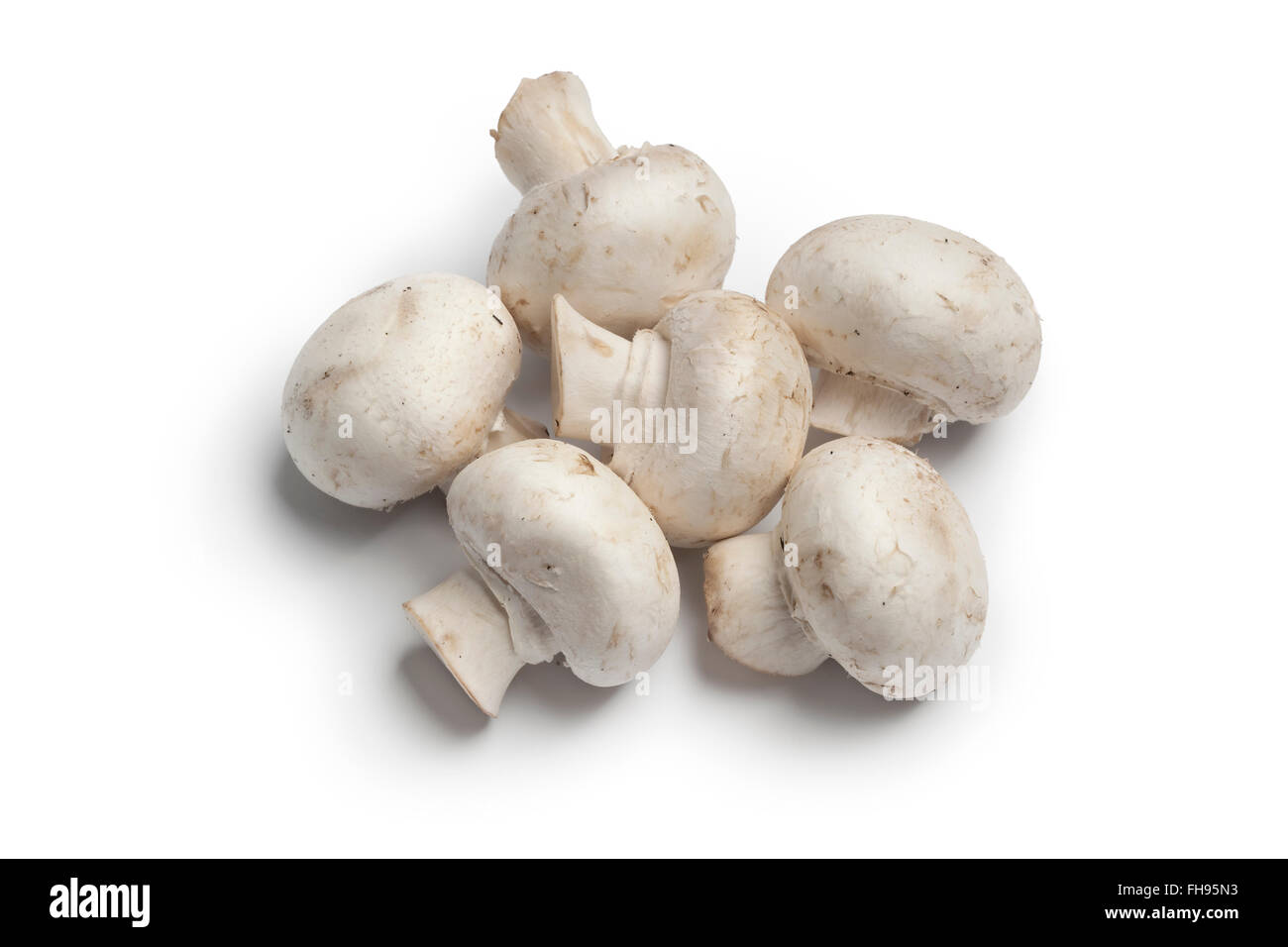 Fresco intero pulsante crudo di funghi champignon, su sfondo bianco Foto Stock