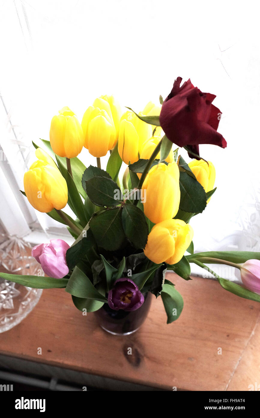 Tulipani misti in un vaso su davanzale concetto di vita still Foto Stock