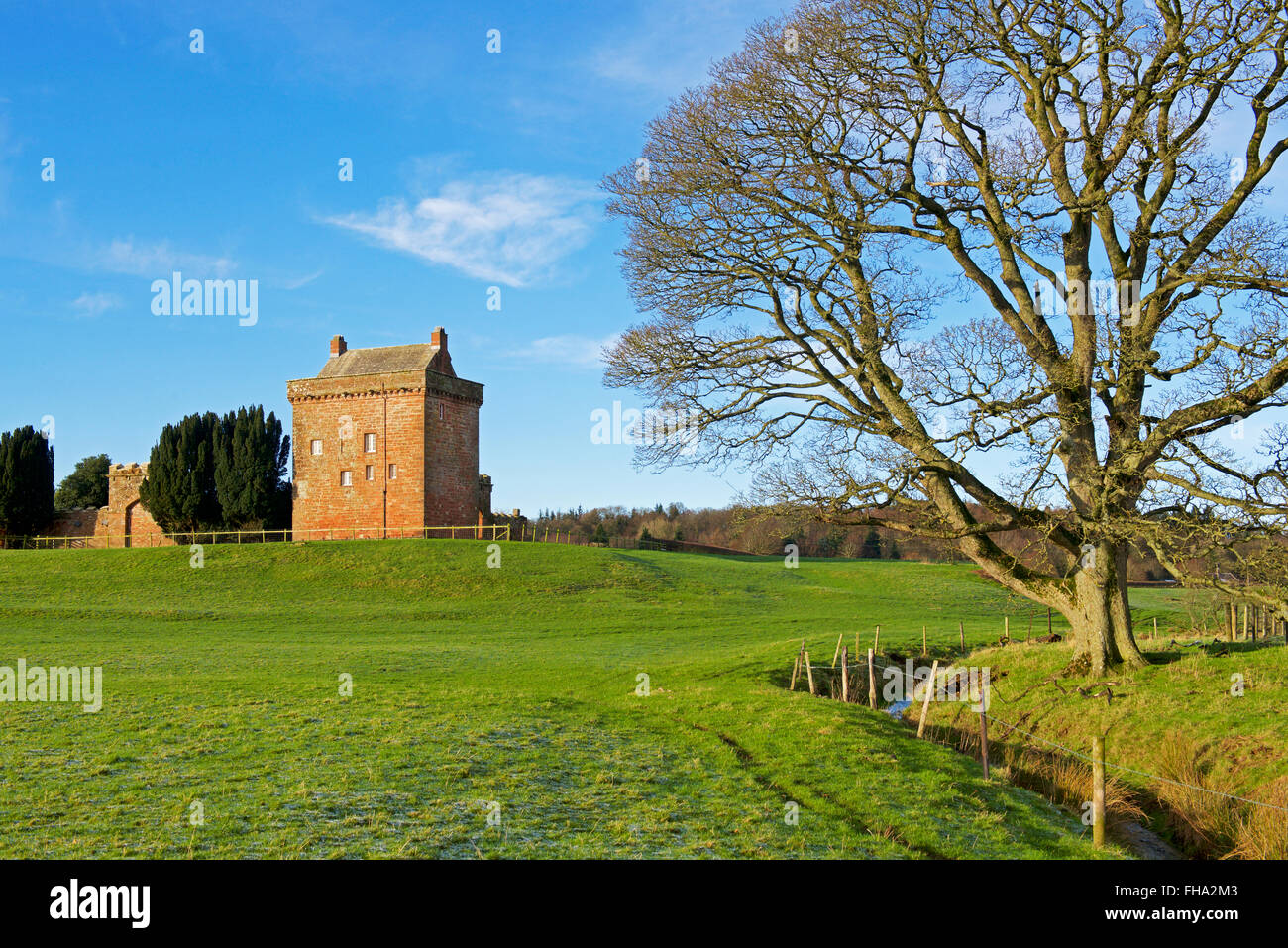 Torre Kirkandrews, casa fortificata a Kirkandrews-su-Esk, Cumbria, England Regno Unito Foto Stock