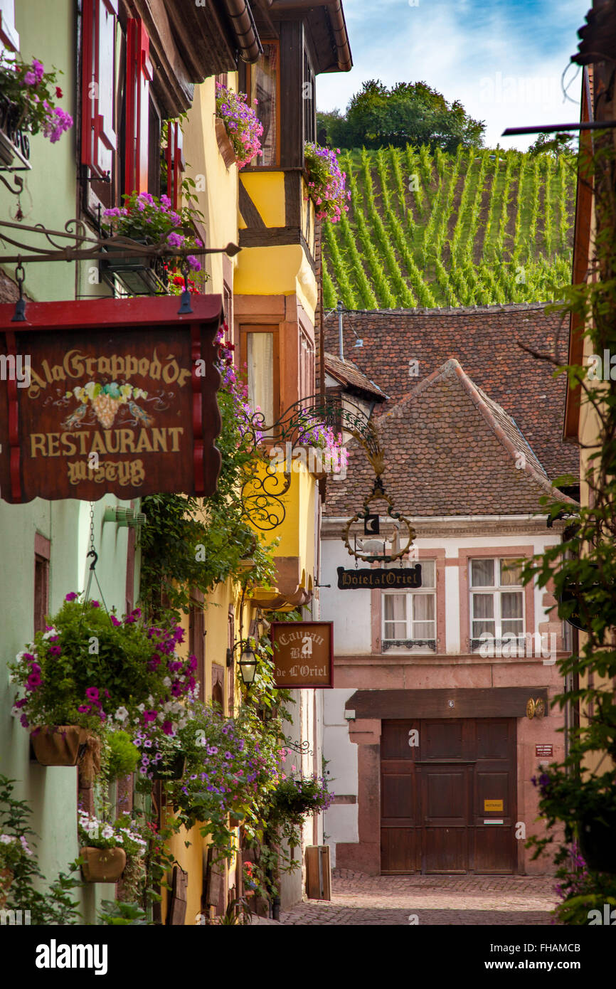 Città di Riquewihr lungo la Route des Vins (Strada del Vino), Alsazia, Francia Foto Stock