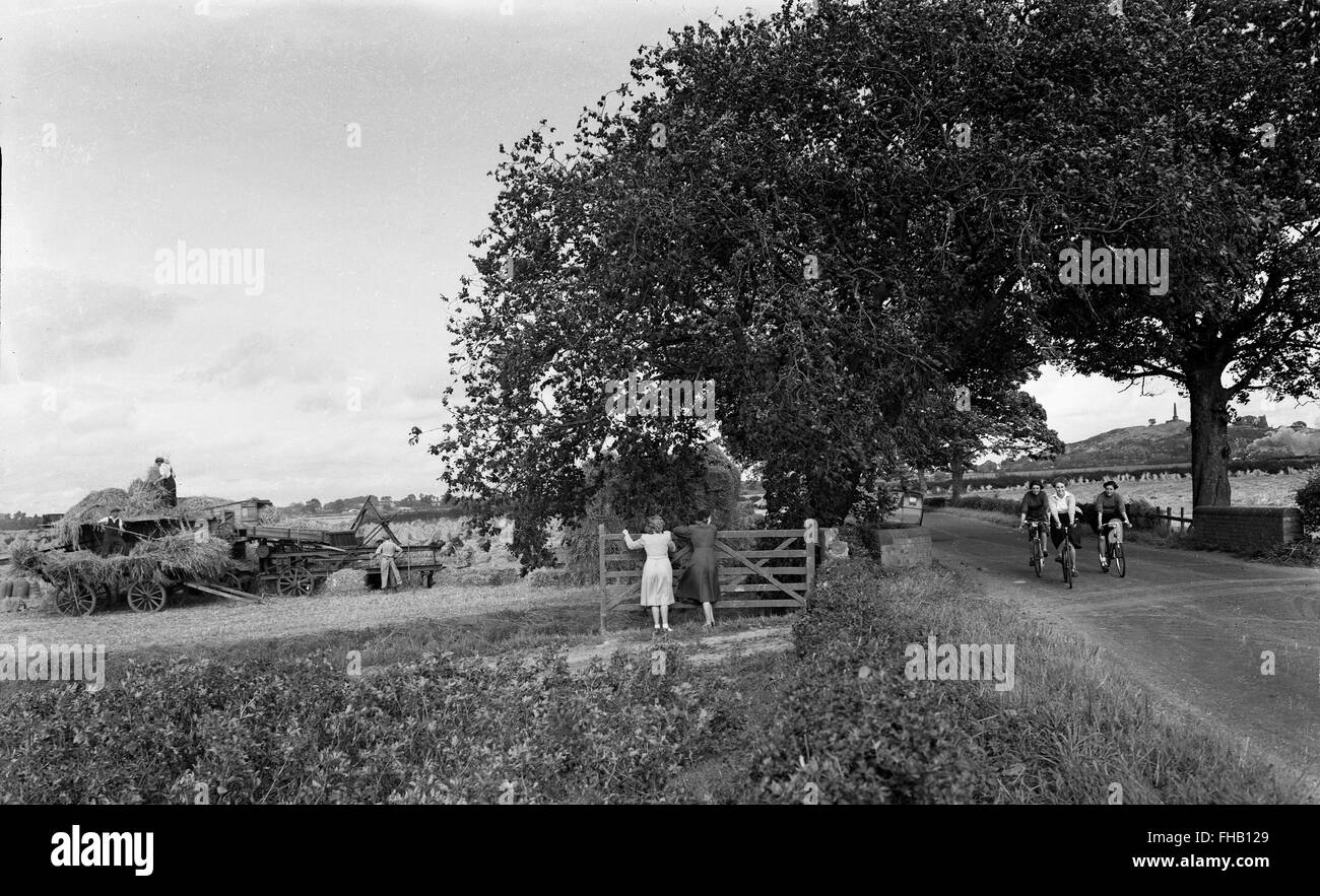 Raccolto rurale scena in estate Shropshire Gran Bretagna Regno Unito degli anni cinquanta Foto Stock