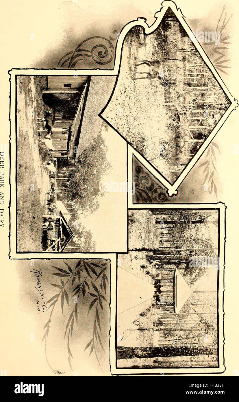 SHC 1830-1905 (1905) Foto Stock