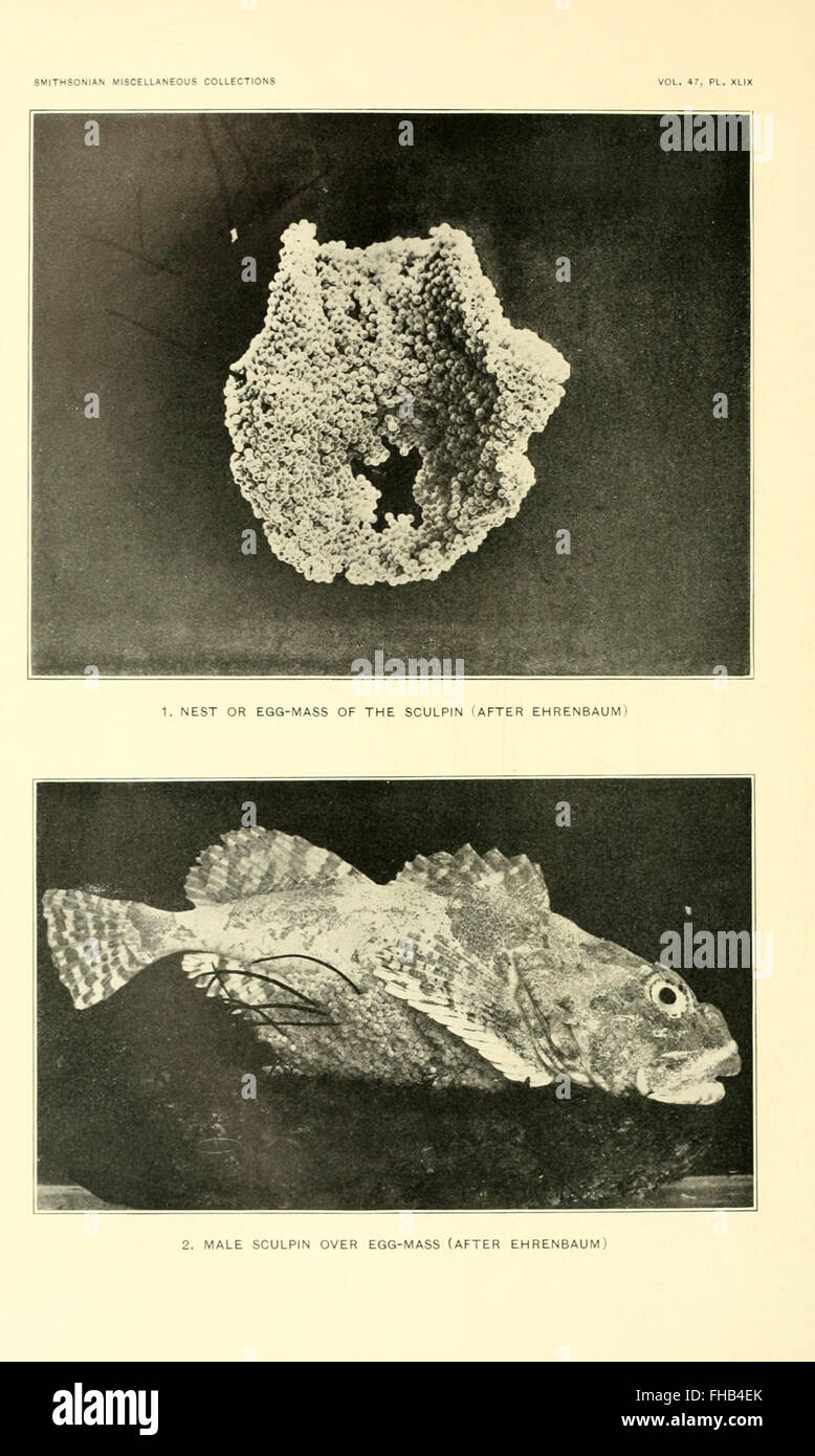 Smithsonian miscellaneous collections Foto Stock