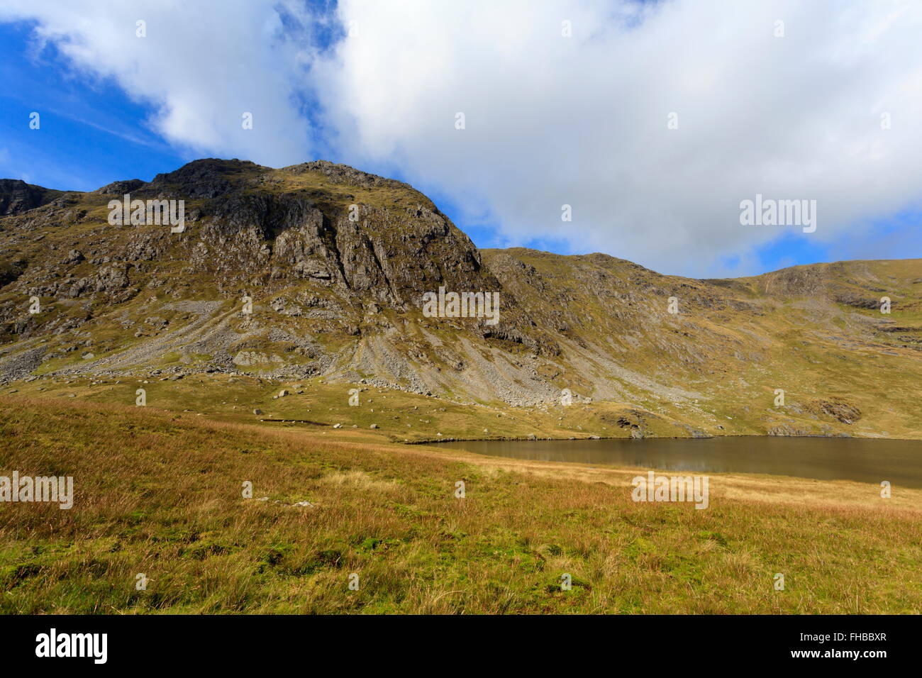 Llyn Dyfi, la sorgente del fiume Dyfi che si trova al di sotto del vertice di Aran Fawddwy Foto Stock