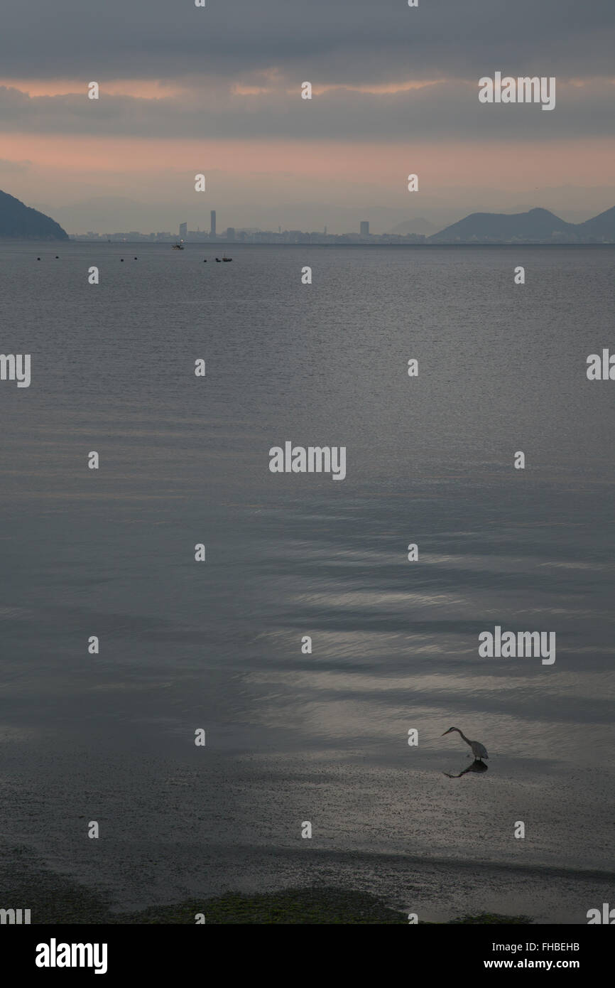 Giappone mare interno all'alba con gru Foto Stock