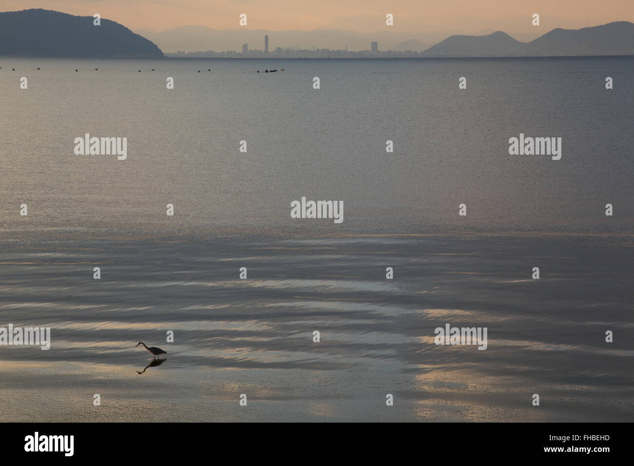 Giappone mare interno all'alba con gru Foto Stock