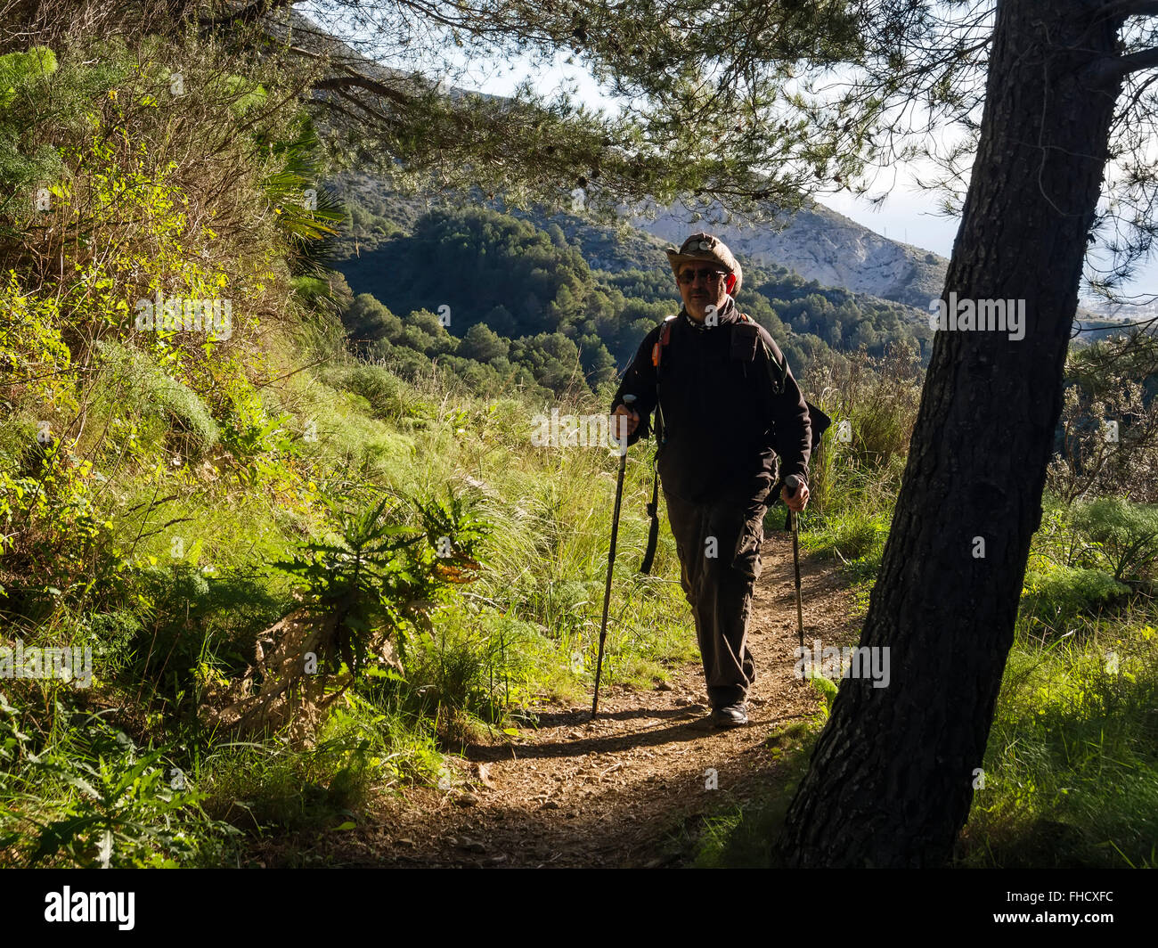 Escursionismo, Sierra de Mijas foresta, provincia di Malaga Costa del Sol. Andalusia Spagna meridionale Foto Stock