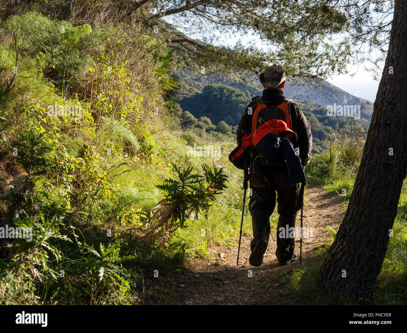 Escursionismo, Sierra de Mijas foresta, provincia di Malaga Costa del Sol. Andalusia Spagna meridionale Foto Stock