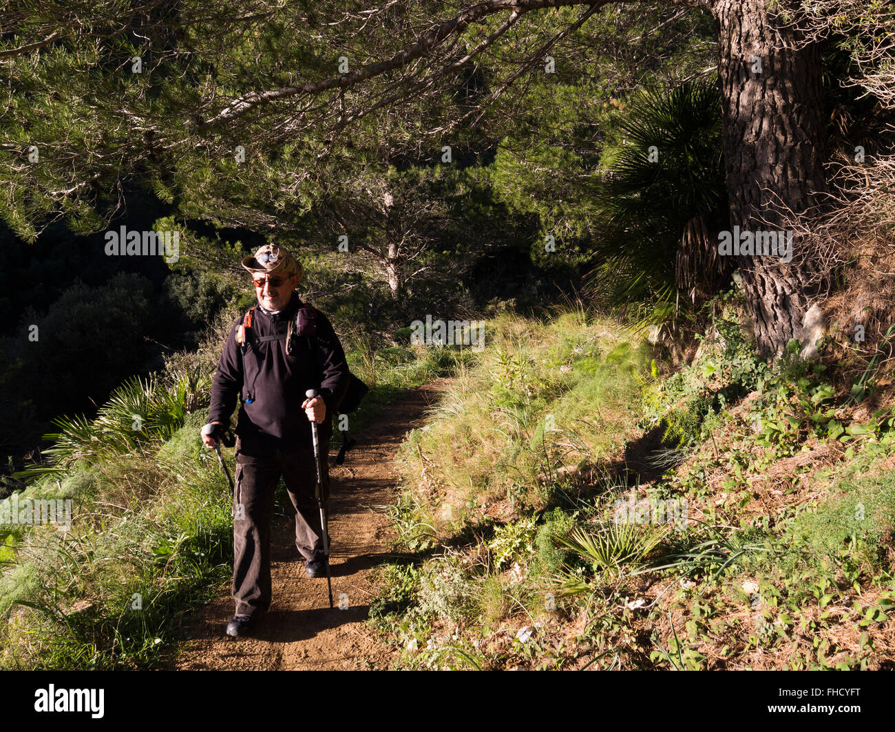 Escursionismo, Sierra de Mijas foresta, provincia di Malaga Costa del Sol. Andalusia Spagna meridionale Foto Stock