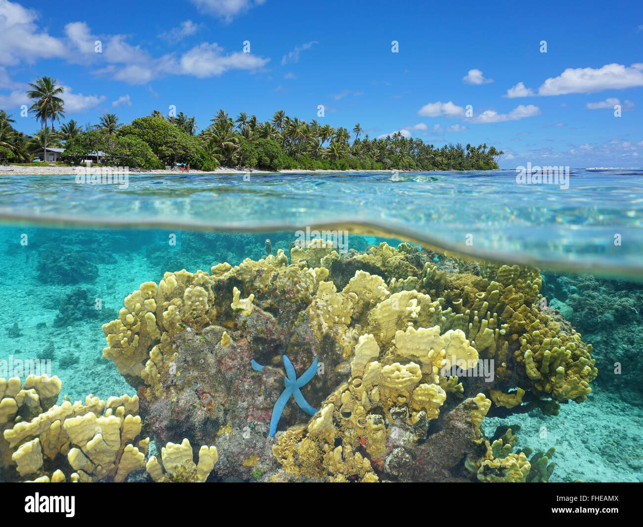 Costa tropicale con corallo di fuoco e una stella marina blu sott'acqua nella laguna dell'isola di Huahine, vista divisa sopra e sott'acqua Foto Stock