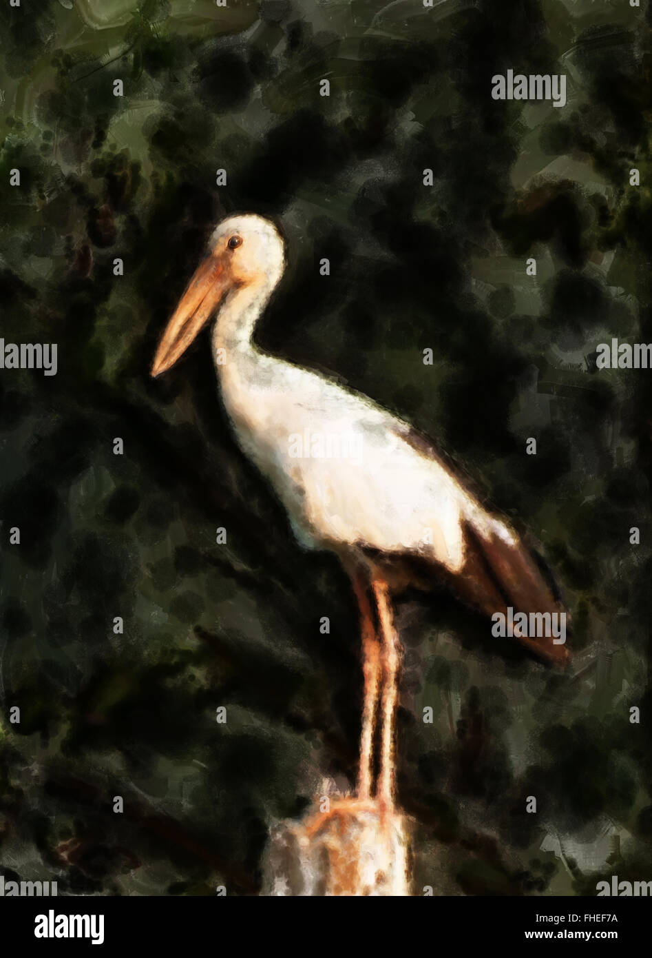 La pittura di un arroccato openbill stork dal sud-est asiatico contro uno sfondo verde Foto Stock