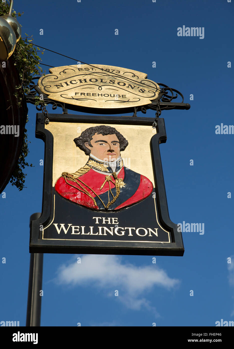 Il Wellington pub sign in The Strand Londra Foto Stock