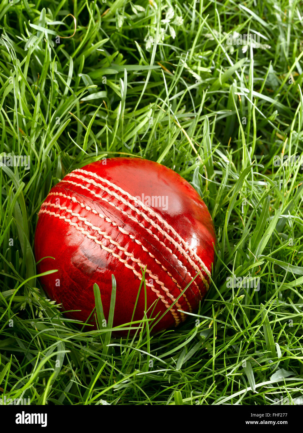 In pelle rossa sfera di cricket Foto Stock