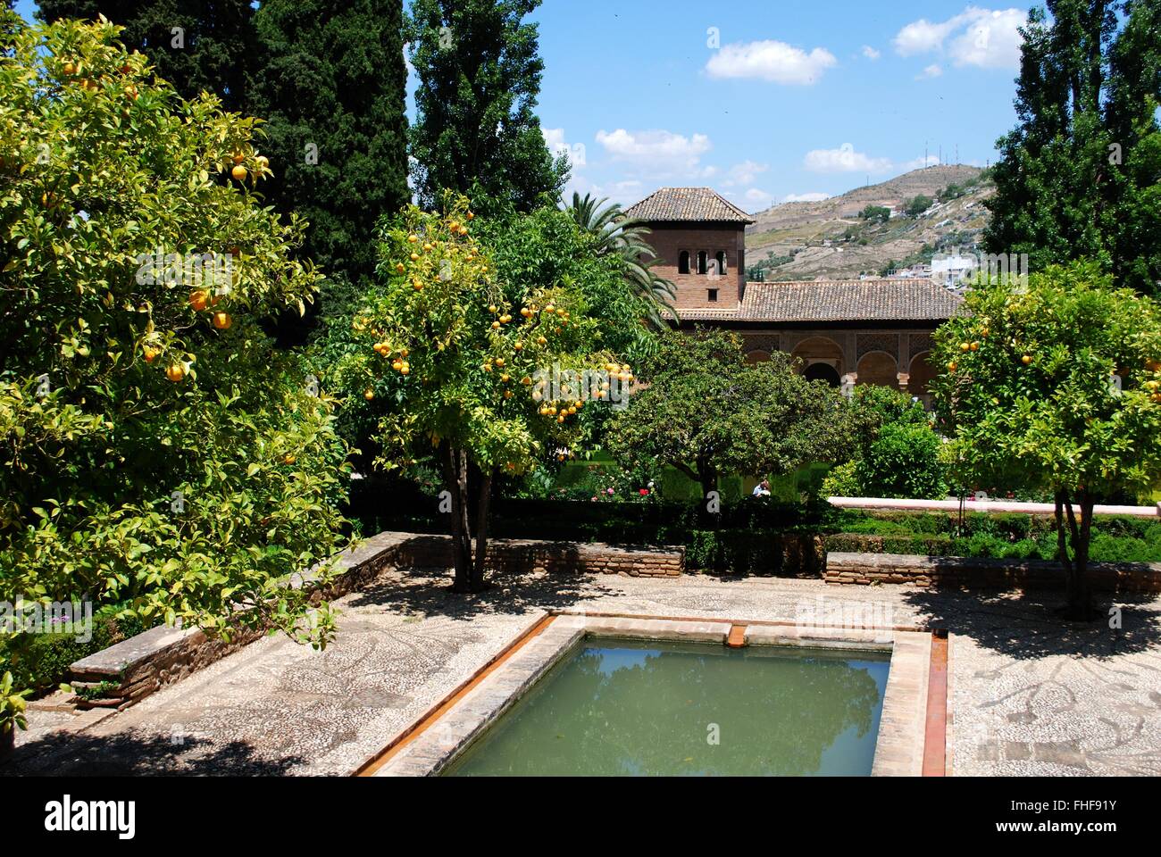 Piscina nel Palacio del Partal (Giardini del partal), Palazzo della Alhambra di Granada, provincia di Granada, Andalusia, Spagna. Foto Stock