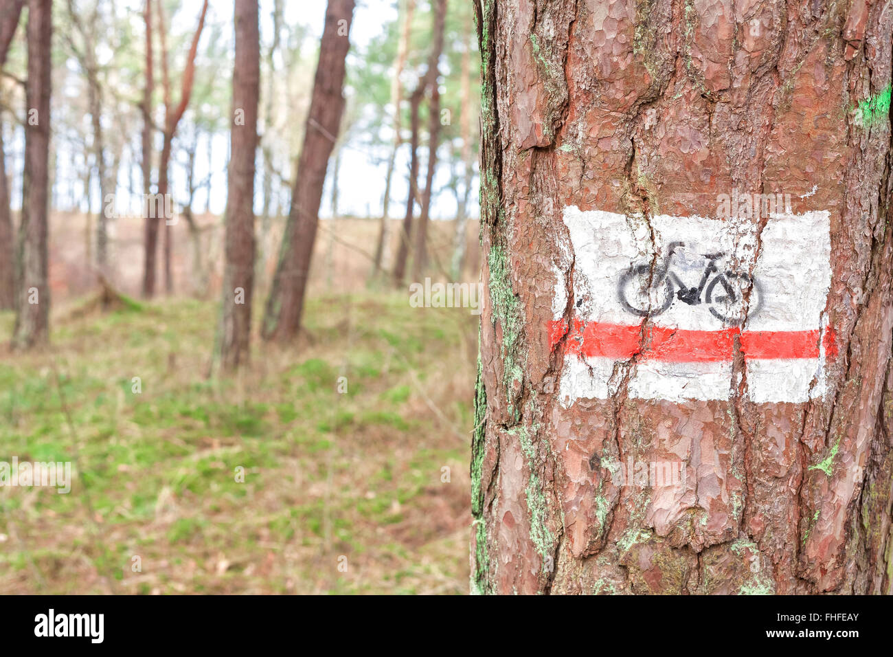 Bike Trail sign dipinta su un albero nella foresta. Foto Stock