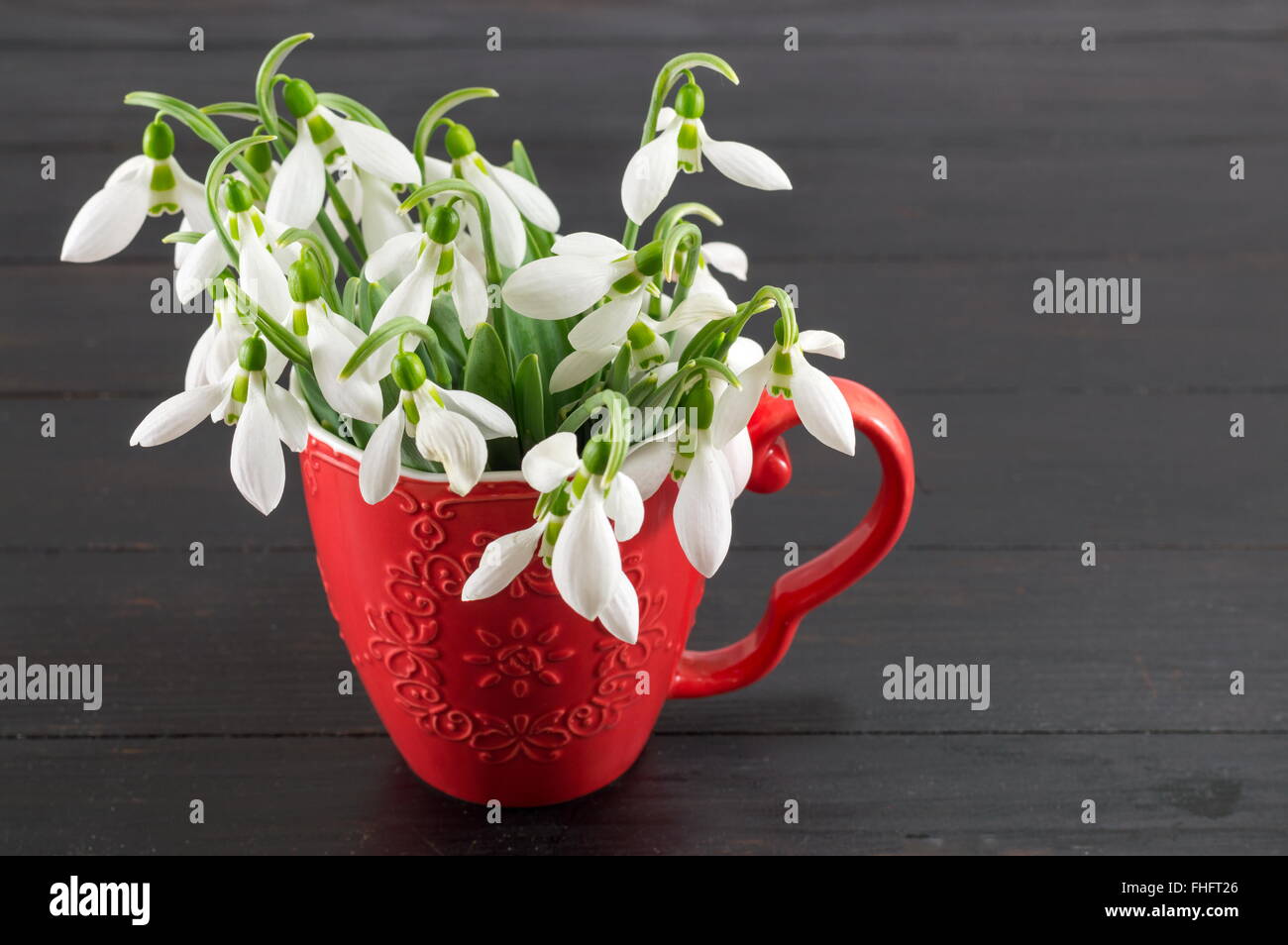 Snowdrops fresco bouquet in un vaso improvvisato su sfondo scuro Foto Stock