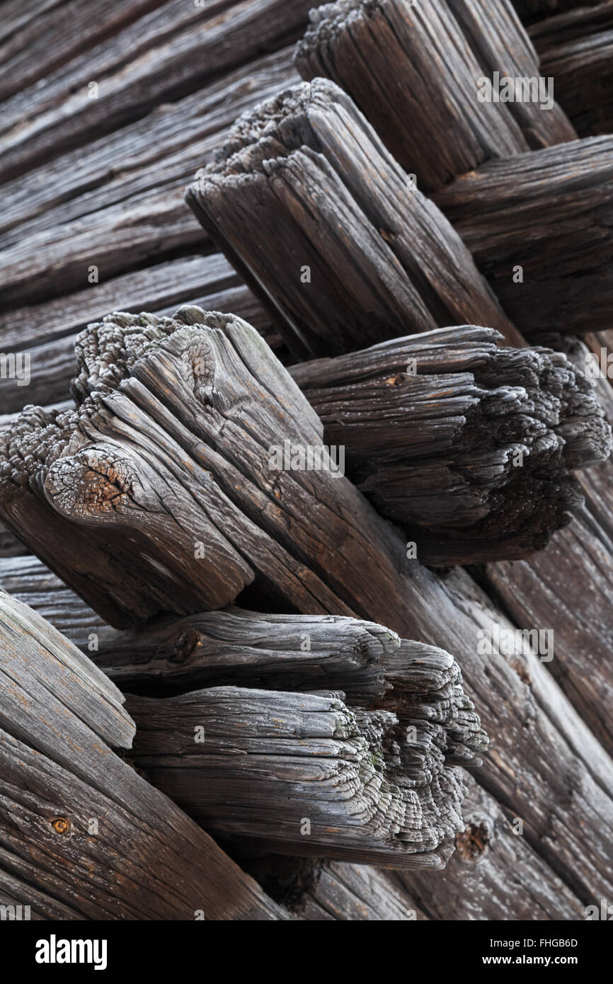 I bastoncini di legno, pali o log per la costruzione di un campo