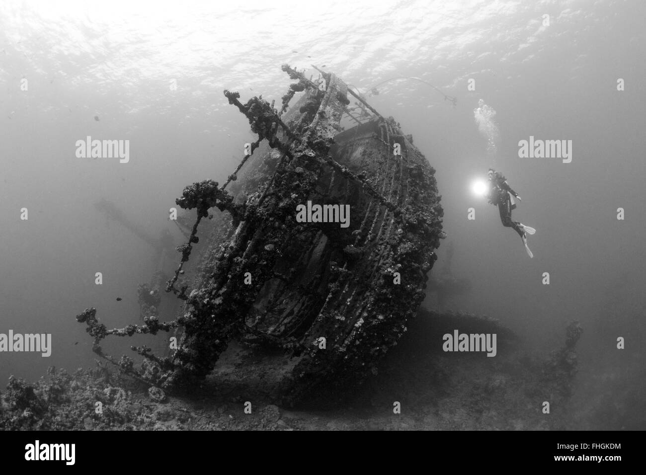 Subacqueo in immersione al relitto Umbria, Wingate Reef, Mar Rosso, Sudan Foto Stock