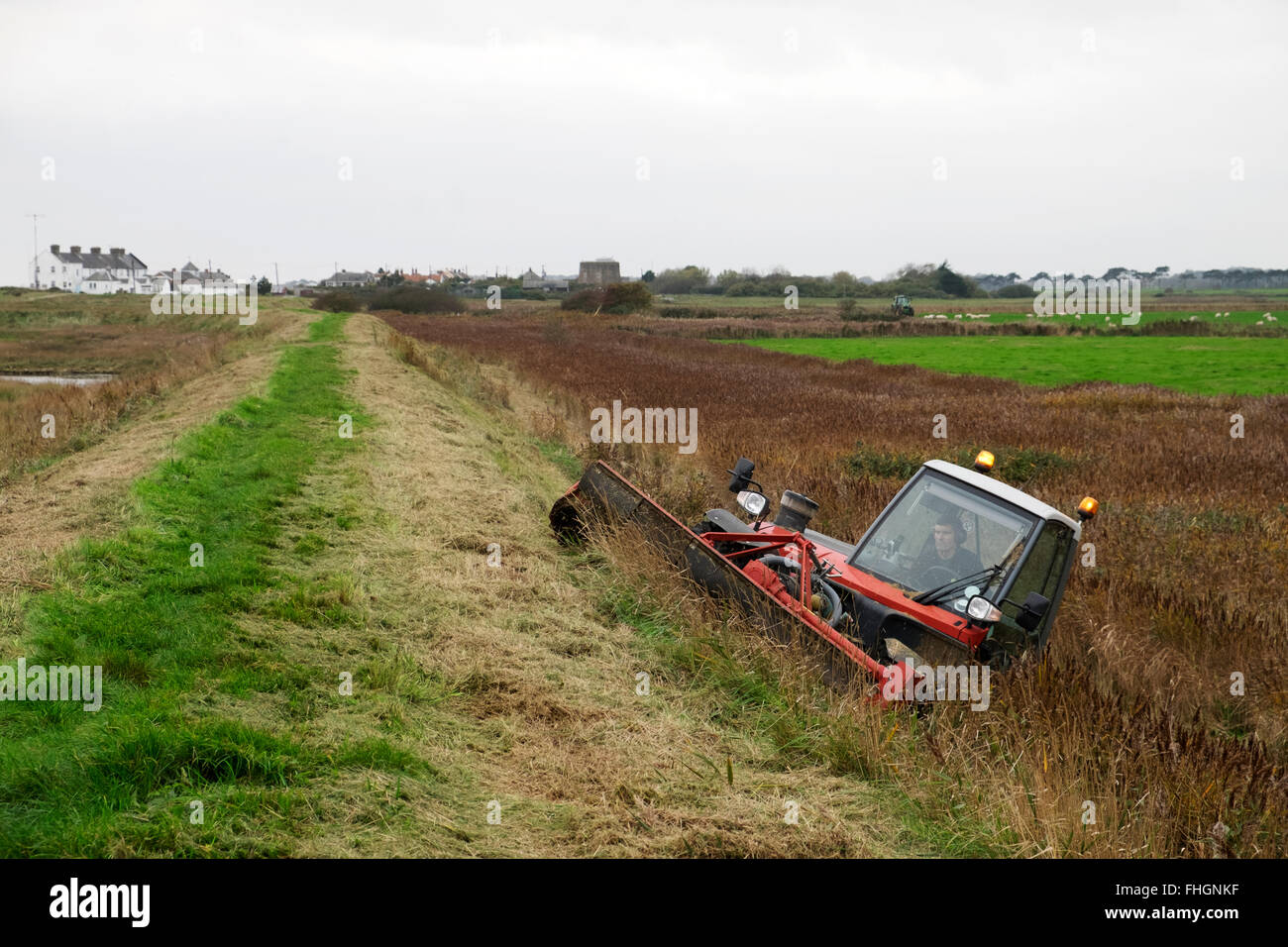 Agenzia per l'ambiente utilizzando un auto-propped in erba tagliente per tagliare una parete di mare alla strada di ciottoli, Suffolk, Regno Unito. Foto Stock