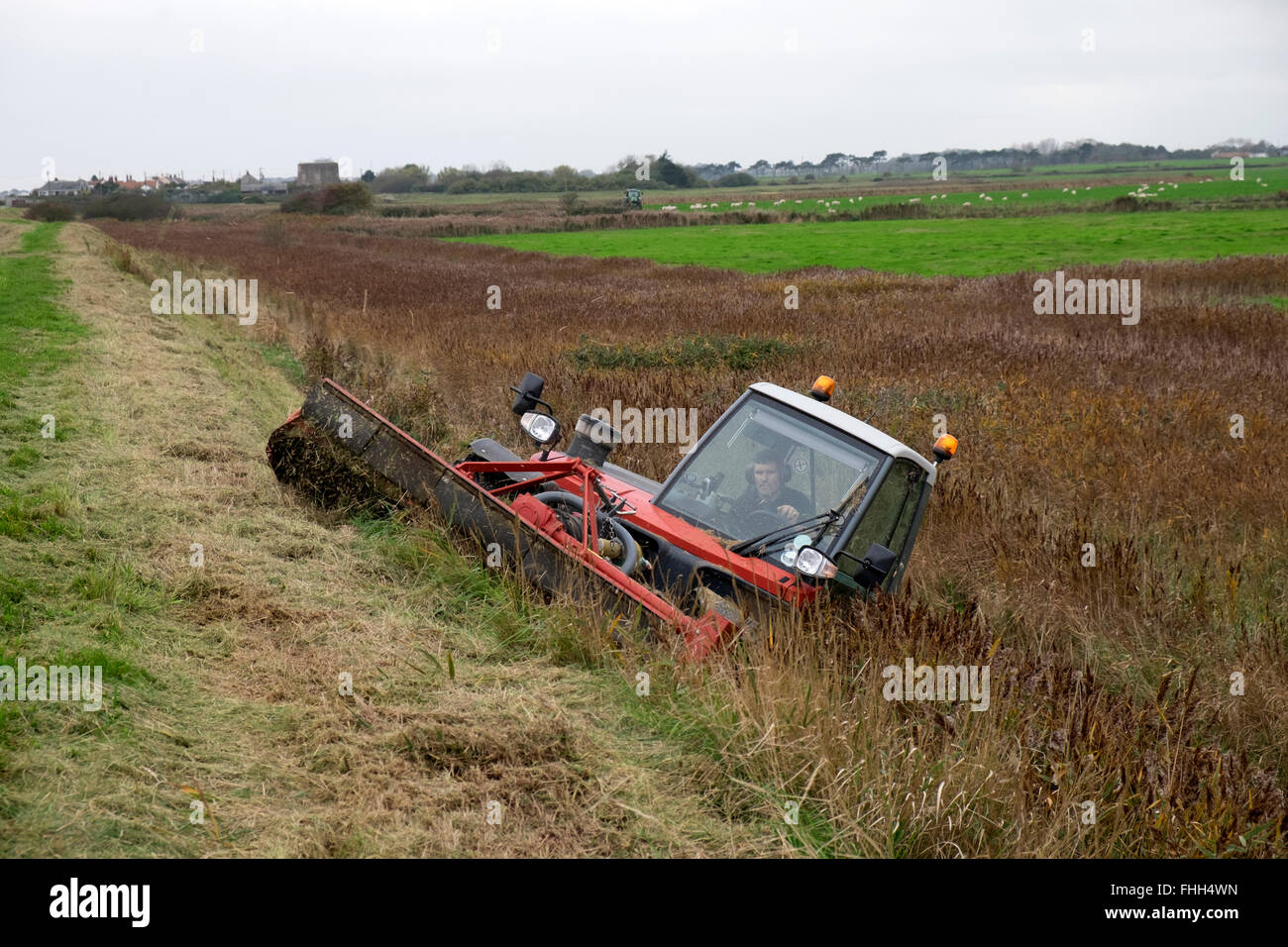Agenzia per l'ambiente utilizzando un auto-propped in erba tagliente per tagliare una parete di mare alla strada di ciottoli, Suffolk, Regno Unito. Foto Stock