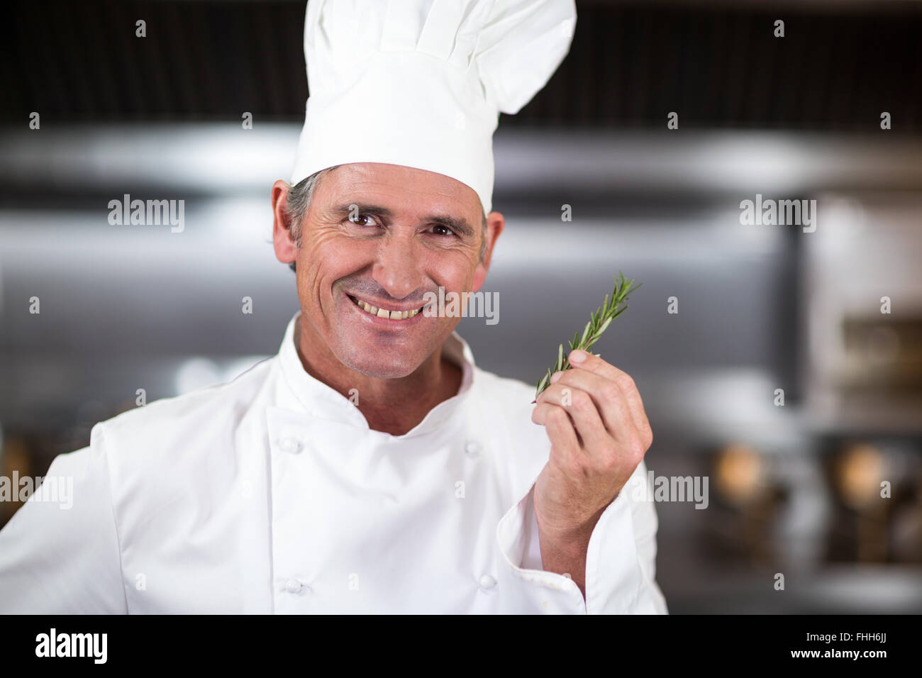 Lo Chef tenendo fresco il rametto di rosmarino Foto Stock