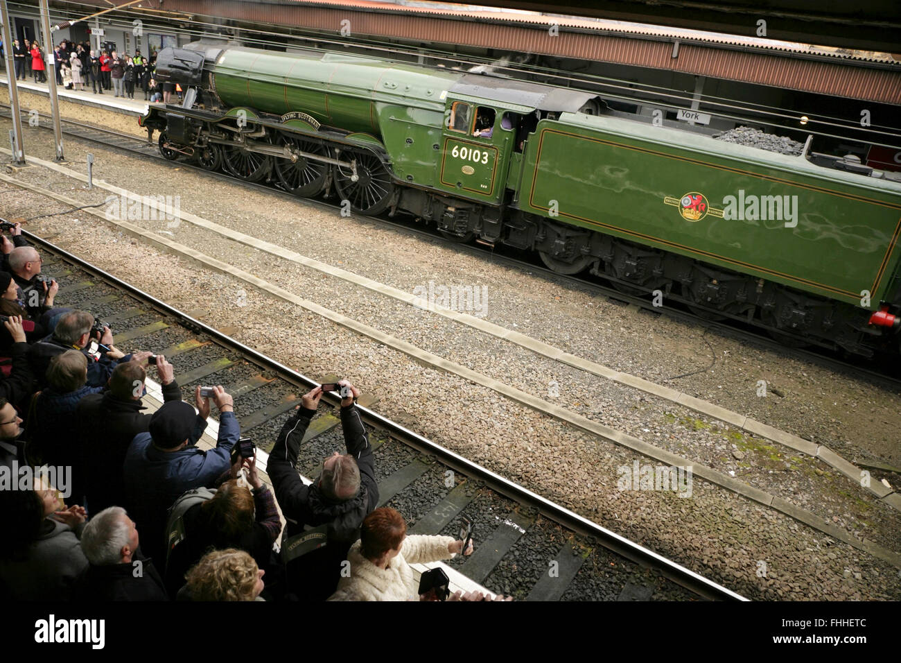 La stazione ferroviaria di York, Regno Unito, 25 febbraio 2016. Il recentemente ristrutturato LNER A3 locomotiva classe "Flying Scotsman" arriva dopo la sua rimonta inaugurale passeggeri-alaggio viaggio da Londra Kings Cross. Il locomotore è stato ripristinato a un costo di £ 4,2 milioni e oltre ad una nuova mostra presso la NRM è York ubicazione verrà alaggio treni speciali in tutto il Regno Unito nei prossimi mesi. Credito: David soulsby/Alamy Live News Foto Stock