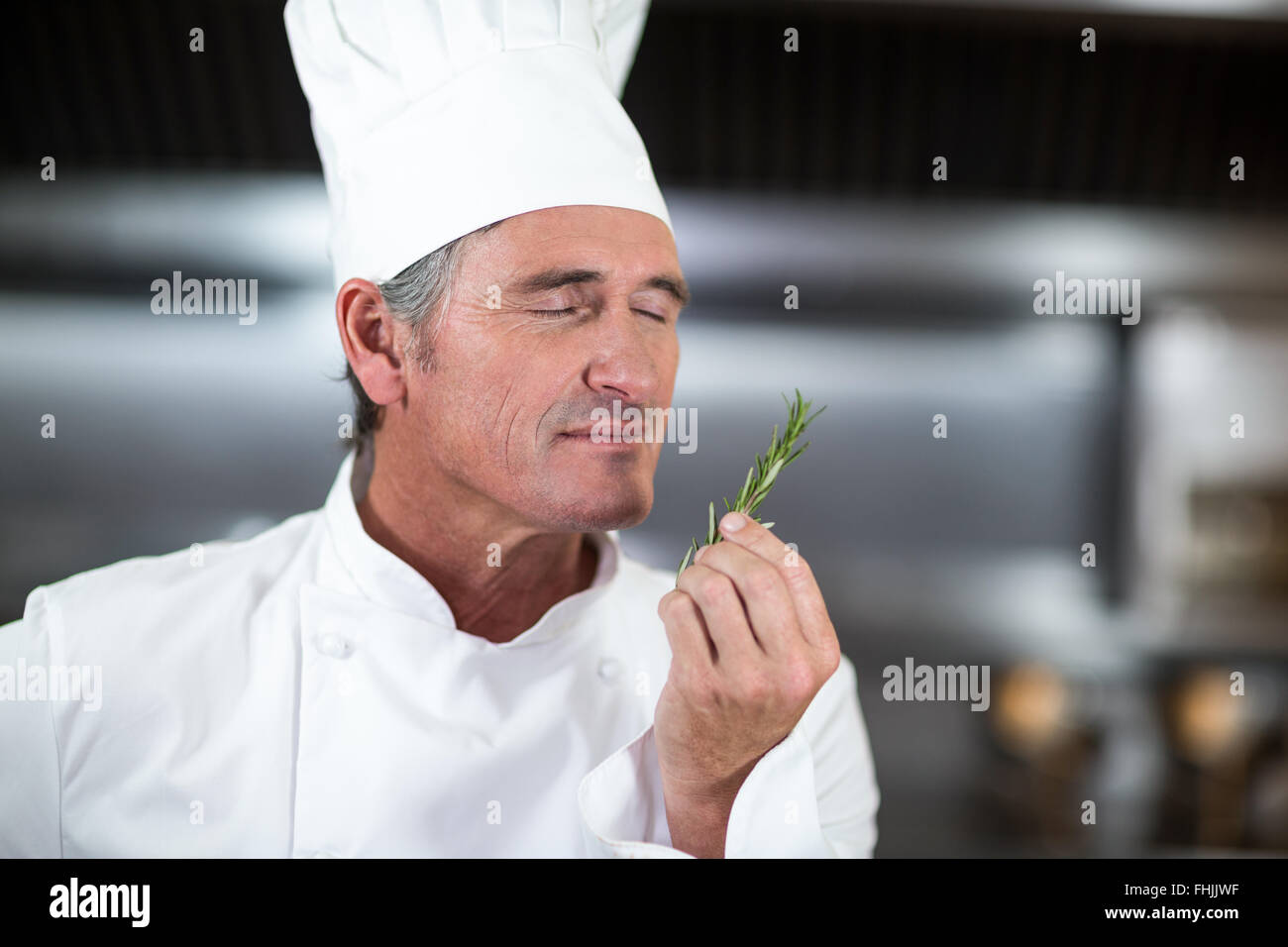 Lo Chef tenendo fresco il rametto di rosmarino Foto Stock